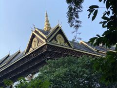 -西双版纳原始森林公园