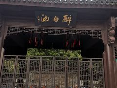 -上海醉白池公园