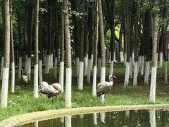 -艾溪湖湿地公园
