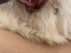 -拜鲁耶动物诊疗中心·宠家动物医院