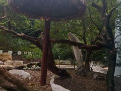 -熊猫自助餐厅.萌趣城堡(长隆熊猫酒店)