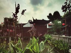 -檀园