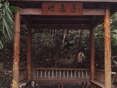 -天目湖山水园