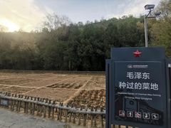 -延安杨家岭革命旧址