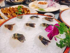 -沙龙酒家