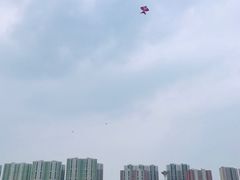 -永定河休闲森林公园