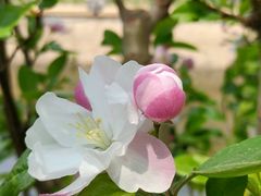 -元大都城垣遗址公园