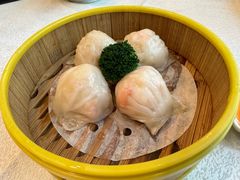 -潮江春(阳光店)