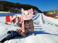 -蓟县盘山滑雪场