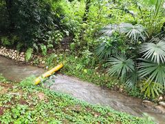 -洪湖悦兮半岛国际温泉度假村