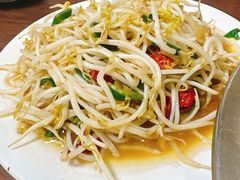 炒豆芽-三中高皇羊肉馆