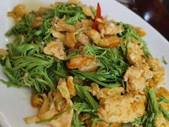 松尖炒鸡蛋-农家小院(朱雀桥店)