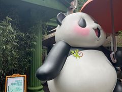 -轩客会(熊猫书店)