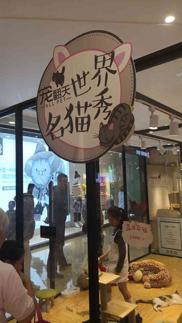 项目宠物售卖猫都普普通通品相也一般价格也不便宜门票好像15块不过没