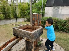 -前小桔亲子创意农场·草莓采摘·露营烧烤