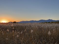-野鸭湖国家湿地公园