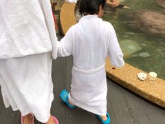 -天目湖涵田半山温泉水乐园