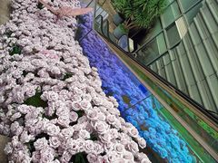 -万科生活广场(东莞松山湖店)