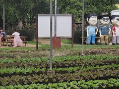 -Ohkajhu Organic Farm Sansai