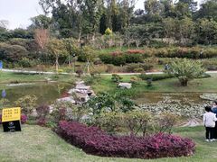 -东莞植物园