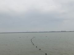 -东疆建设开发纪念公园