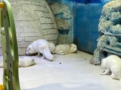 -华夏文旅海洋公园