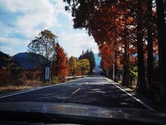 -四明山国家森林公园