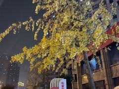 -宜昌富力皇冠假日酒店·咖啡1号西餐厅
