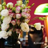 西安探店｜拍照超出片｜名媛竟是我自己