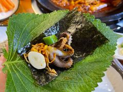-红辣椒八爪鱼特色韩国料理