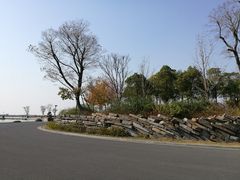 -滆湖低碳生态公园