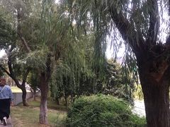 -月湖风景区