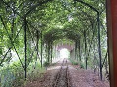 -合肥滨湖国家森林公园