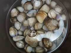 -启东黄金海滩景区