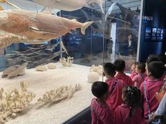 -糖心家族国际幼儿园·托育园(南开水上公园店)