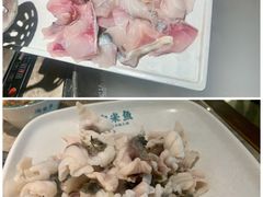 招牌鲜鱼片-淘米捞·米汤脆鲩鱼火锅(福田皇岗店)