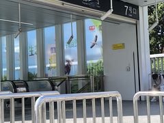-南翔馒头店(豫园店)