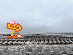 -南汇嘴观海公园