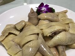 招牌爽皮鸡-桂哥海鲜城