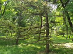 -元大都城垣遗址公园