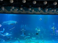 -烟台海昌鲸鲨海洋公园