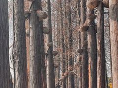 -东湖生态旅游风景区