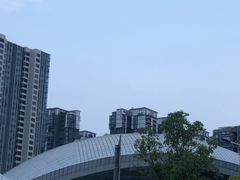 -嘉庚体育馆