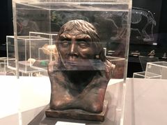 -北京周口店北京人遗址博物馆