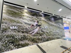 -凯德MALL(望京店)