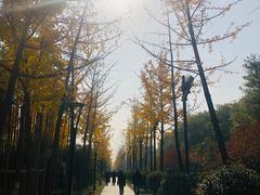 -唐城墙遗址公园