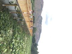 iphone_upload_pic-大理洱源西湖景区