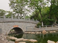 -莲湖公园