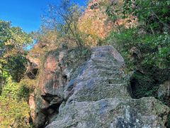 -树山生态村