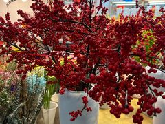 -双季花艺园艺市场(浦东店)